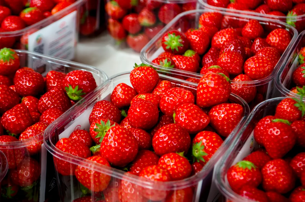 Fraises rangées dans une barquette