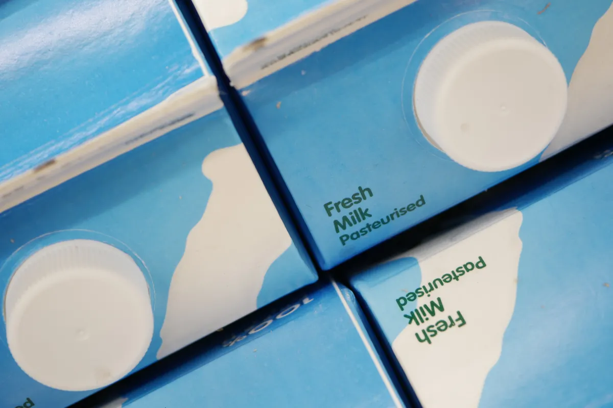 Briques de lait fermées vues de dessus