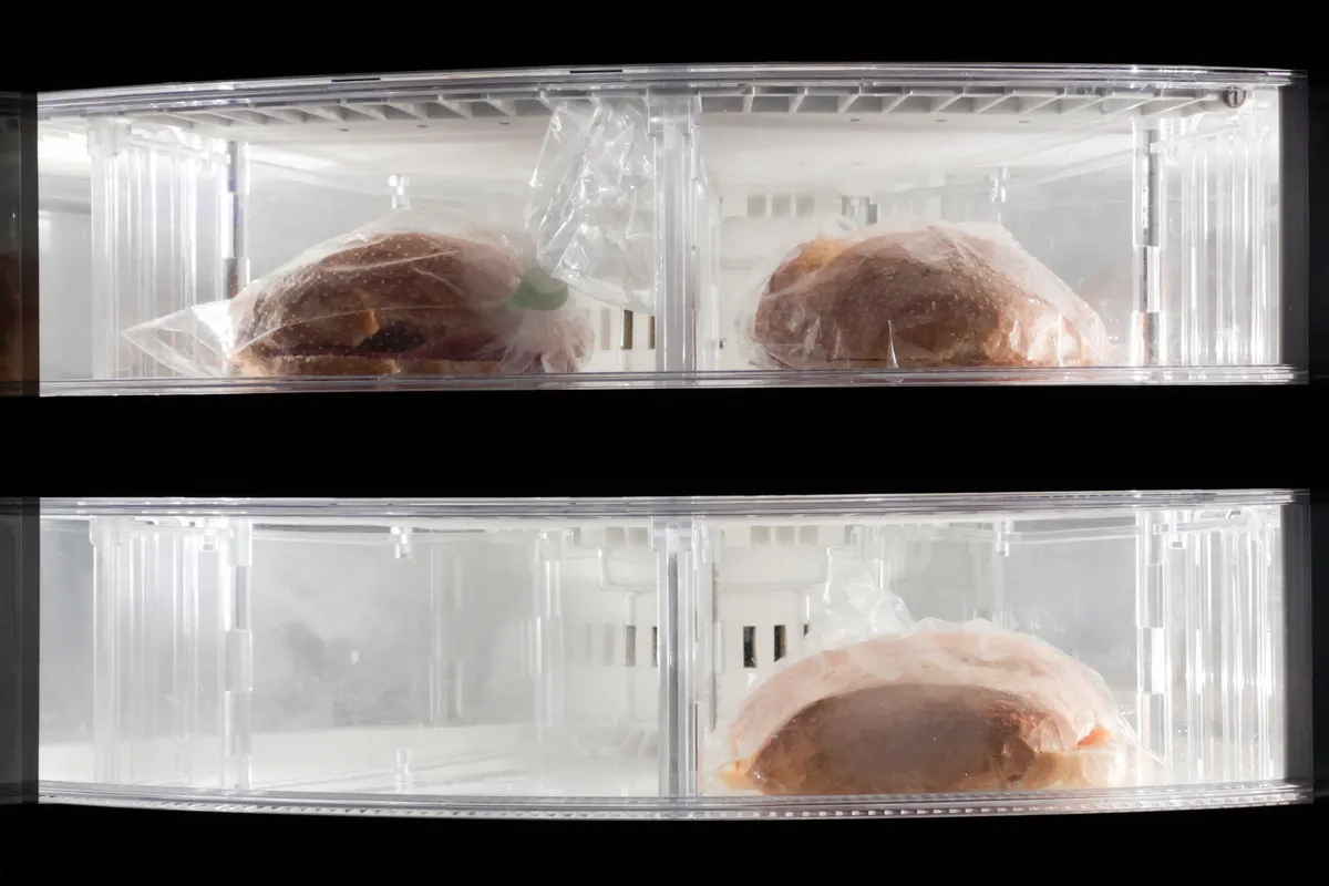 Sandwichs emballés et congelés