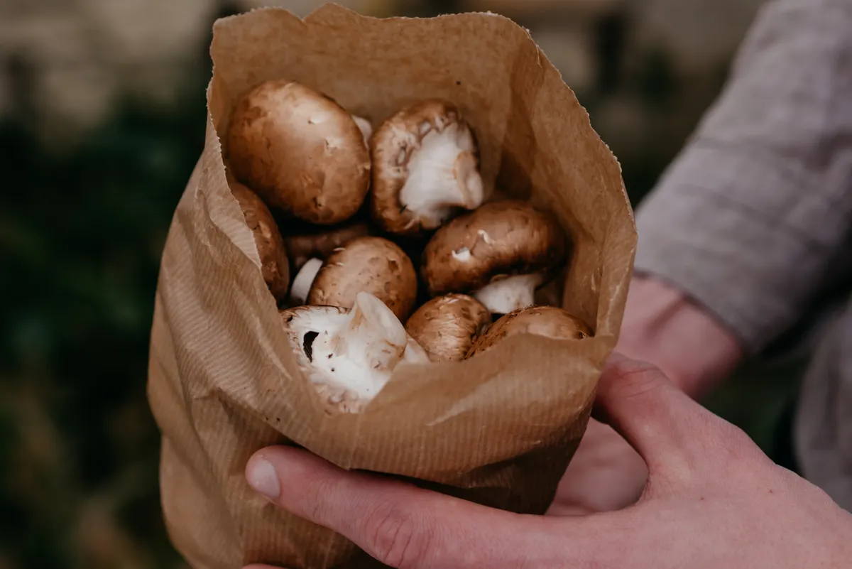 Champignons de Paris bruns dans un sac en papier