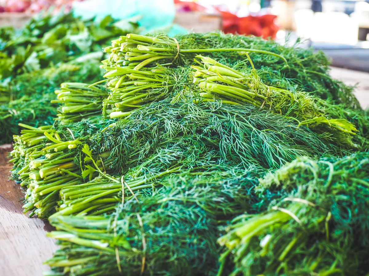 Bouquets d'herbes aromatiques fraîches