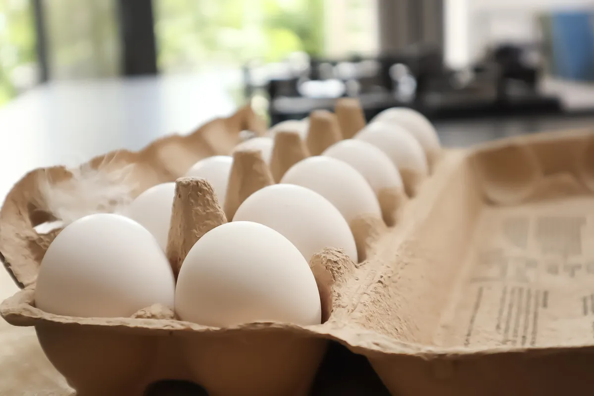 Boîte d'œufs ouverte sur un plan de travail de cuisine